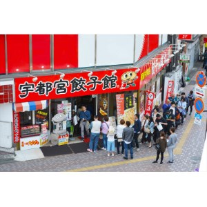 「宇都宮餃子館」のニラ餃子 8個入り×6パック(計48個)