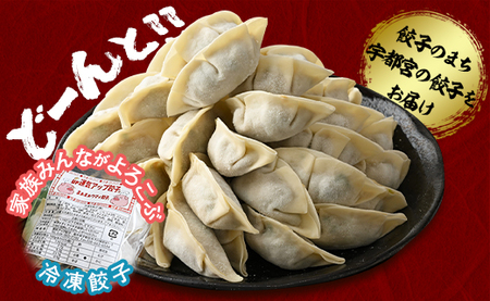 【定期便12回】宇都宮餃子 運気アップ餃子 6種類味比べ(108個×12回　合計1,296個)【配送不可地域：離島】