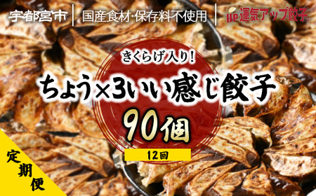 【定期便12回】宇都宮餃子 運気アップ餃子 ちょう×3いい感じ餃子　（90個×12回　合計1,080個）【配送不可地域：離島】