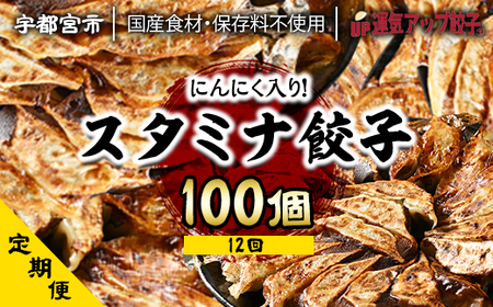 『定期便』宇都宮餃子　ニンニクマシマシスタミナ餃子100個　保存料不使用　全12回【配送不可地域：離島】