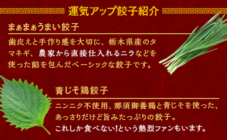 『定期便』宇都宮餃子　ニンニクマシマシスタミナ餃子100個　保存料不使用　全12回【配送不可地域：離島】