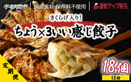 【定期便12回】宇都宮餃子 運気アップ餃子 ちょう×3いい感じ餃子(18個×12回 合計216個)【配送不可地域:離島】