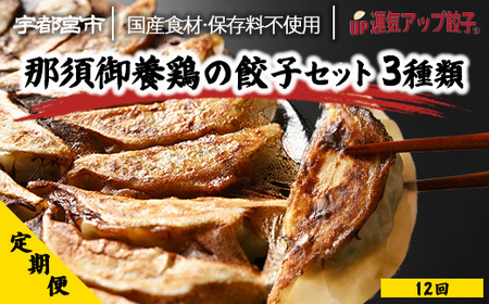【定期便12回】 鶏餃子3種類味比べ(54個×12回　合計648個)【配送不可地域：離島】惣菜・レトルト