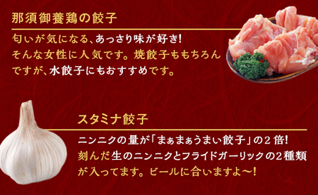 『定期便』宇都宮餃子　鶏餃子3種類味比べ(合計60個)　保存料不使用　全12回【配送不可地域：離島】