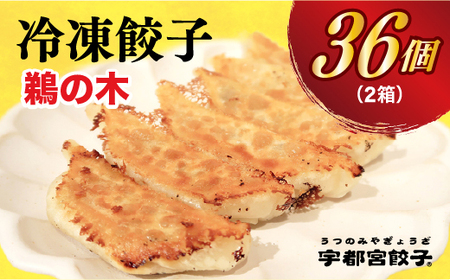 【鵜の木】　餃子18個入り×2箱【配送不可地域：離島】