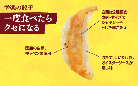 【幸楽】 餃子30個入り×2箱【配送不可地域:離島】