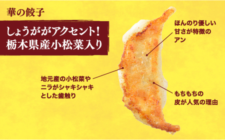 【華】　餃子24個入り×2箱