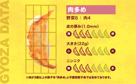 【華】　餃子24個入り×2箱