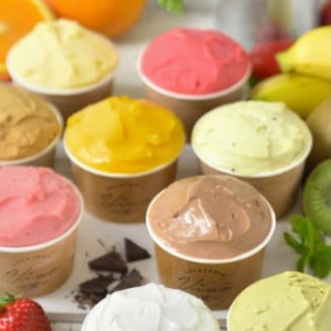 ≪栃木県/Vivo≫イタリアンジェラート(アイスクリーム)＜基本フレーバー9種＞×各1個セット ※配送不可地域あり