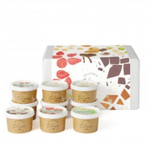 ≪栃木県/Vivo≫イタリアンジェラート(アイスクリーム)＜基本フレーバー9種＞×各1個セット ※配送不可地域あり