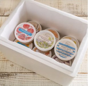 ≪栃木県/Vivo≫イタリアンジェラート(アイスクリーム)＜基本フレーバー9種＞×各1個セット ※配送不可地域あり