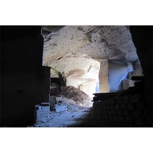 「大谷夏いちご」のジャム&フリーズドライセット (ジャム2本フリーズドライ1本)