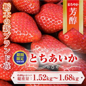 ＼12月末まで 寄附額改定／【先行予約】とちあいか 約380g～420g×4パック | いちご イチゴ 苺 栃木 とちあいか 新種 甘い 糖度 ハート型 フルーツ 果物 スイーツ いちごジャム ギフト 産地直送 ※離島への配送不可 ※2026年1月中旬～3月下旬頃に順次発送予定