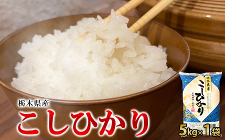 【令和5年産】栃木県産こしひかり（精米・5kg×1袋） ※着日指定不可 ※離島への配送不可