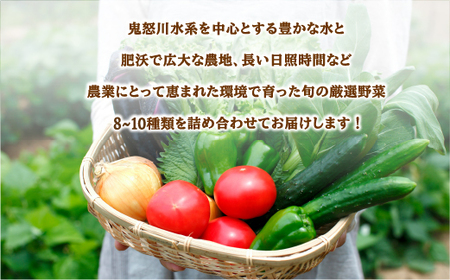 【3ヶ月定期便】農産直売所あぜみち 新鮮野菜 詰め合わせ ※着日指定不可