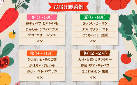 【3ヶ月定期便】農産直売所あぜみち 新鮮野菜 詰め合わせ ※着日指定不可