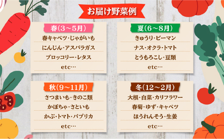 新鮮野菜 5種類詰合せ ※着日指定不可