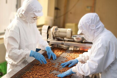 4種の素焼きミックスナッツ 2.01kg(670g×3袋) 素焼き チャック付き 健康 美容 直火焙煎 煎りたて うさぎや くるみ アーモンド マカデミアナッツ カシューナッツ