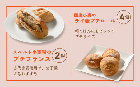 工場直送!!人気のパンおまかせセット ※着日指定不可