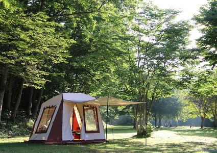 ミグラテール | tent-Mark DESIGNS テンマクデザイン WILD-1 ワイルドワン テント キャンプ アウトドアギア ※着日指定不可 