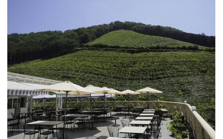 ココのジュース3＋3セット【 ジュース 栃木県 足利市 】 F7Z-013