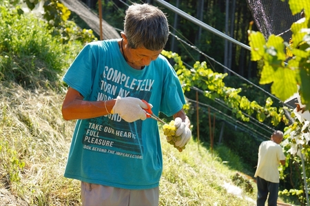 ココのジュース3＋3セット【 ジュース 栃木県 足利市 】 F7Z-013
