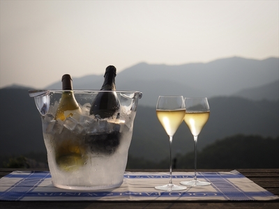 ワイナリー見学&テイスティングコース ペアチケット（お土産付き）【 ワイン お酒 栃木県 足利市 】 F7Z-014