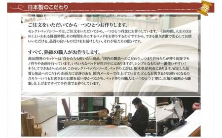 ザ・ベッド シングル グリーン 97×195 脚12cm ナチュラル 脚付きマットレス  寝具 F7Z-788