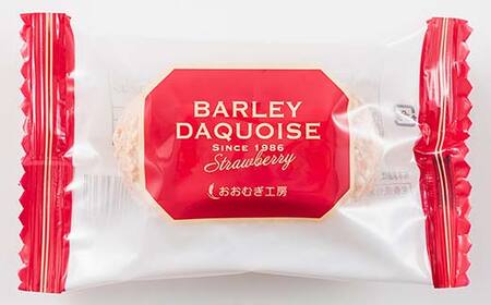 大麦ダクワーズ 国産いちご 8個入り 栃木県 足利市 F7Z-1363