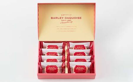 大麦ダクワーズ 国産いちご 8個入り 栃木県 足利市 F7Z-1363