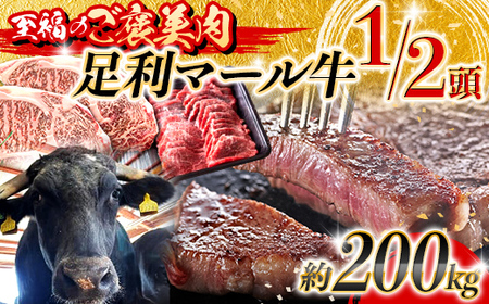 【至福のご褒美肉】足利マール牛1/2頭！　約200kg F7Z-1652