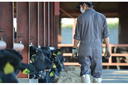 「下野牛」焼肉用600g(300gx2) F7Z-144