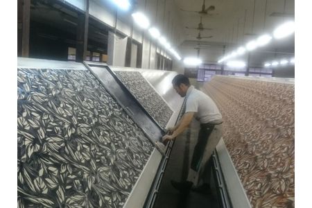 【定期便　6回】 ハギレの 「HAGIREs」　セットA 　20cm×20cm 15枚 (朝日染色株式会社） F7Z-338