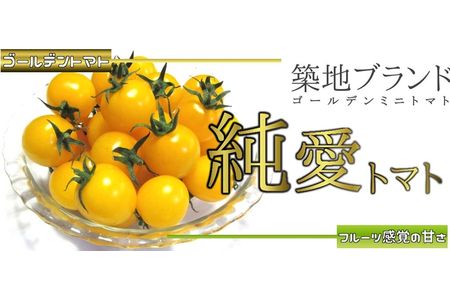 【先行予約】栃木県足利産のこだわりミニトマト甘さいっぱい「純愛トマト」2ｋｇ＜出荷開始：2024年3月1日～2024年6月20日＞
