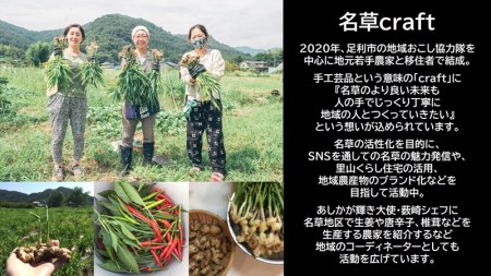 ＜あしかが輝き大使・薮崎シェフ＞ 名草生姜の麻辣火鍋 【濃縮タイプ】 2人前(355g)×1セット