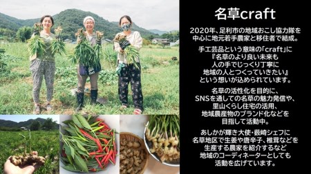 ＜あしかが輝き大使・薮崎シェフ＞ 名草生姜の麻辣火鍋 【濃縮タイプ】 2人前(355g)×3セット F7Z-180