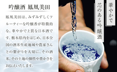 鳳凰美田ゆず・鳳凰美田梅酒セット 720ml×2本 | お酒 さけ リキュール 日本酒 地酒 梅酒 フルーティ 柚子 梅 人気 ギフト 小林酒造 栃木