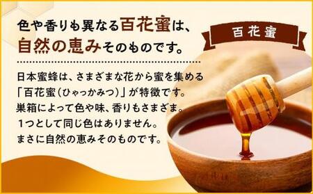 日本蜜蜂のハチミツ100％！はちみつ（逆さ容器300ｇ2本）  高級 自然食品 無添加 ニホンミツバチ