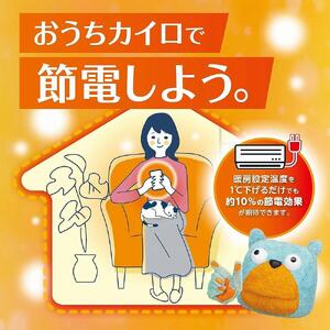 【訳アリ】使い捨てカイロ はるオンパックス（10枚入×24ケース）【雑貨 日用品 人気 おすすめ 送料無料】