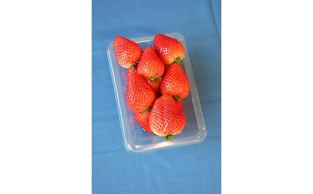 【2026年2月以降発送】JAしもつけ栃木市産とちあいか 260g×4パック【フルーツ 果物 くだもの 食品 人気 おすすめ 】