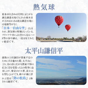 山雫ブラン：地元産ぶどう100％使用した白ワイン（720ml）【お酒 さけ 人気 おすすめ  ギフト】