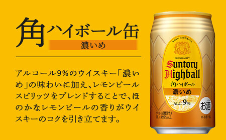 〈サントリー〉【隔月定期便】角ハイボール【濃いめ】350ml缶×24本(1ケース)【2か月おき×3回お届け】 期間限定 | サントリー ウイスキー ハイボール ウィスキー SUNTORY 家飲み 宅飲み 定期便 高評価 酒 お酒 角瓶 おすすめ 栃木市