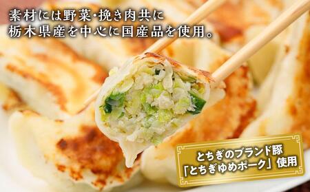 素材にこだわった自家製冷凍餃子【食品 加工食品 人気 おすすめ 】