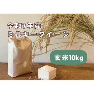 【令和7年産】栃木市岩舟町産ミルキークイーン10kg【玄米】　米　玄米　ミルキー　農家直送　産地直送