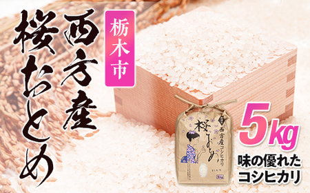 栃木市西方産桜おとめ5kg｜米 お米 こしひかり コシヒカリ 産地直送 産直  ［令和5年産］