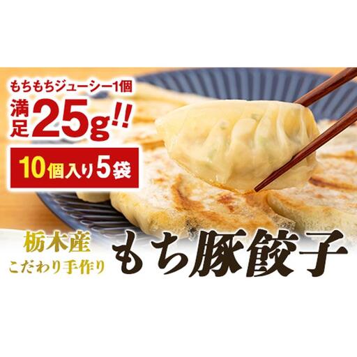 栃木産こだわり手作りもち豚餃子 | 食品 冷凍食品 惣菜 餃子 手作り 国産【食品 加工食品 人気 おすすめ 】