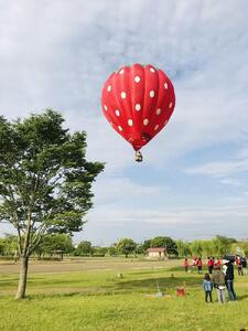 熱気球搭乗体験（係留フライト）【券 人気 おすすめ 】