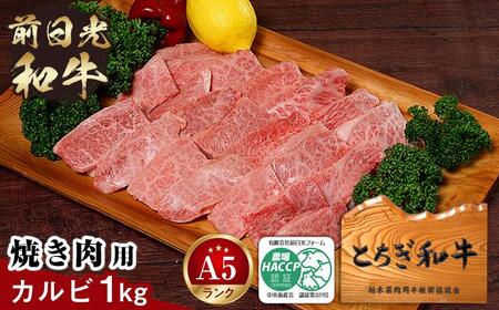 とちぎ和牛・前日光和牛（焼き肉用カルビ1kg）｜肉 お肉 和牛 最高級 A5ランク A5等級 焼肉