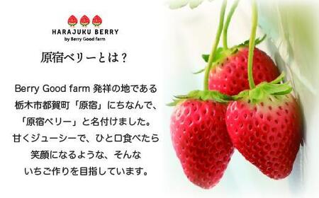 【先行予約受付】≪2026年2月発送≫原宿ベリーの「大粒いちご」【フルーツ 果物 くだもの 食品 人気 おすすめ 】