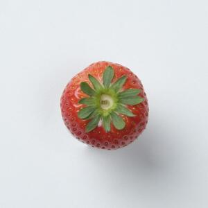 【2025年12月下旬～発送】谷中農園のいちご「 とちあいか 」約280g入（一粒約22g以上、5～9粒入り）×2パック | 果物 フルーツ いちご 栃木 ブランド 栃木県【フルーツ 果物 くだもの 食品 人気 おすすめ 】